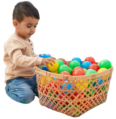 IVY Wonder boy image